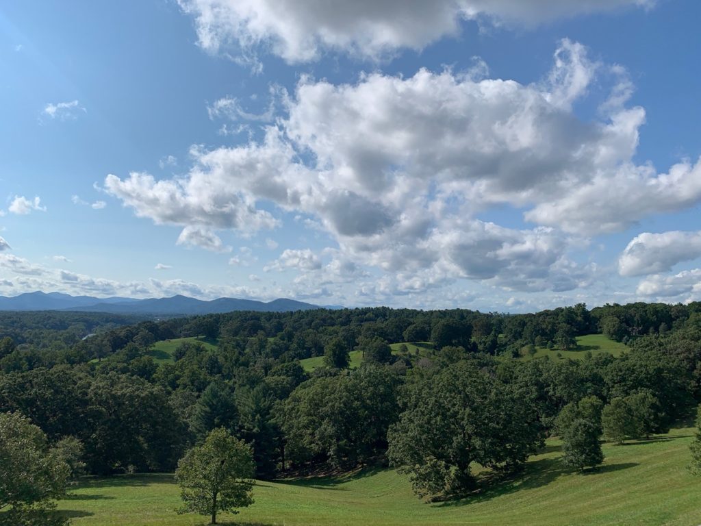 benefits of trees on mental health