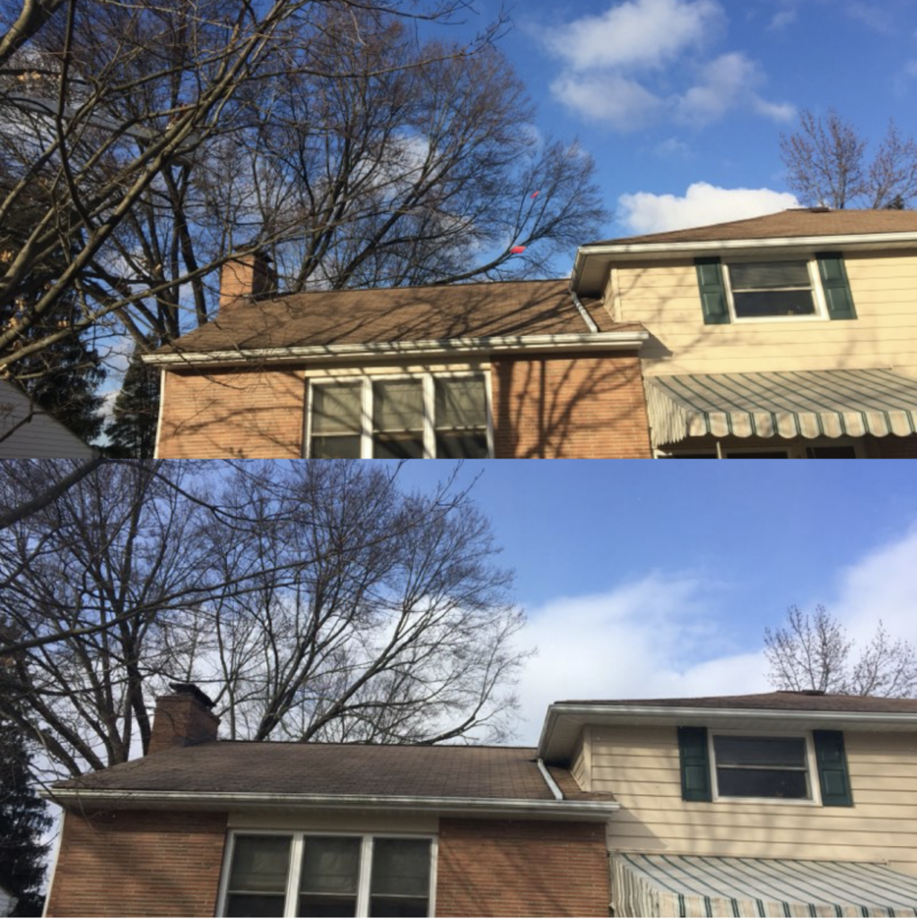 Side trimming to increase stability of a tree over a house.