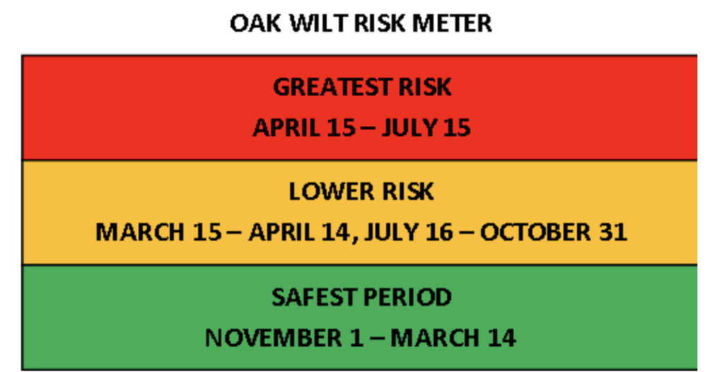 Risk meter showing best time to prune trees.