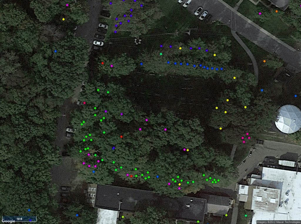 Sample from a tree inventory.