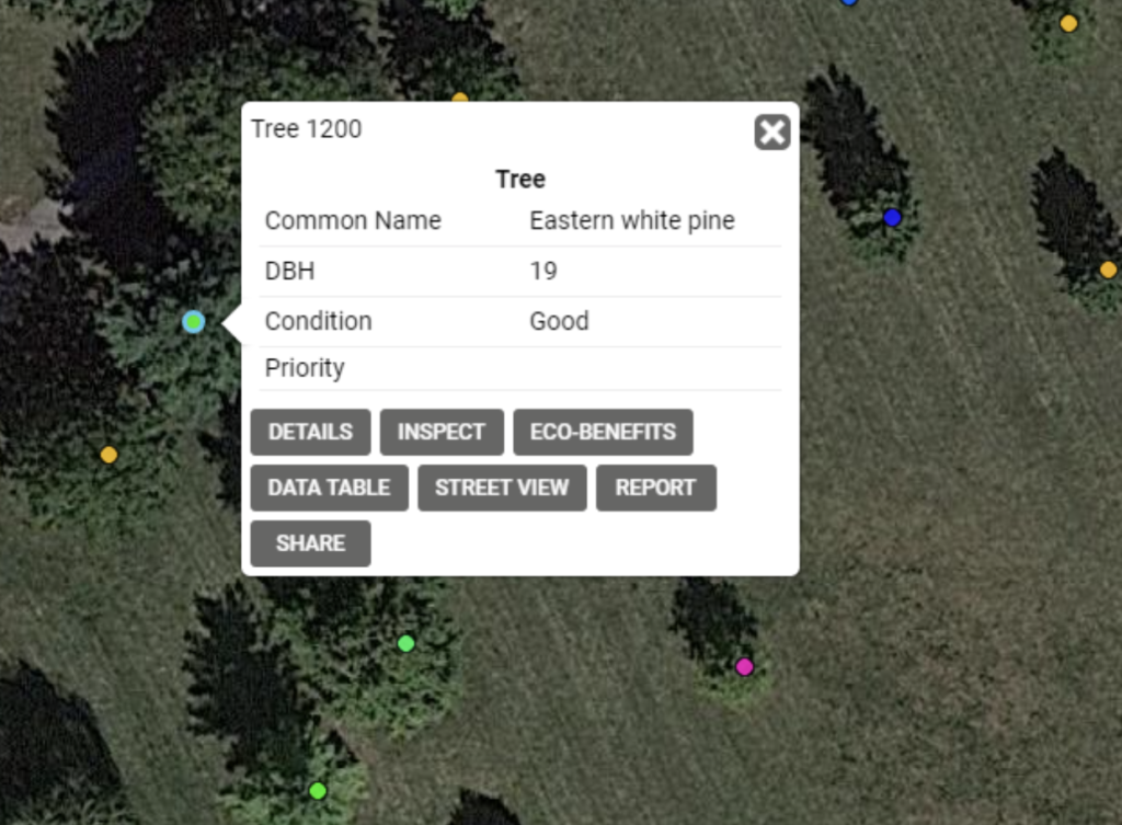 Selected pin on tree inventories.