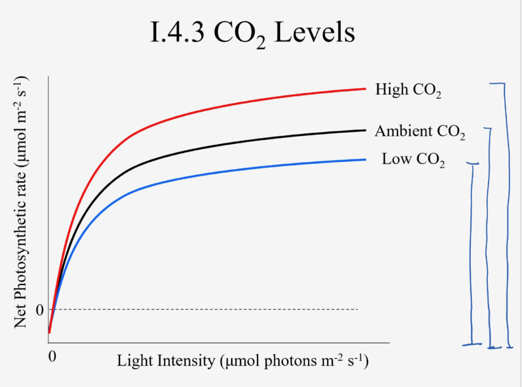 CO2 Levels Graph
