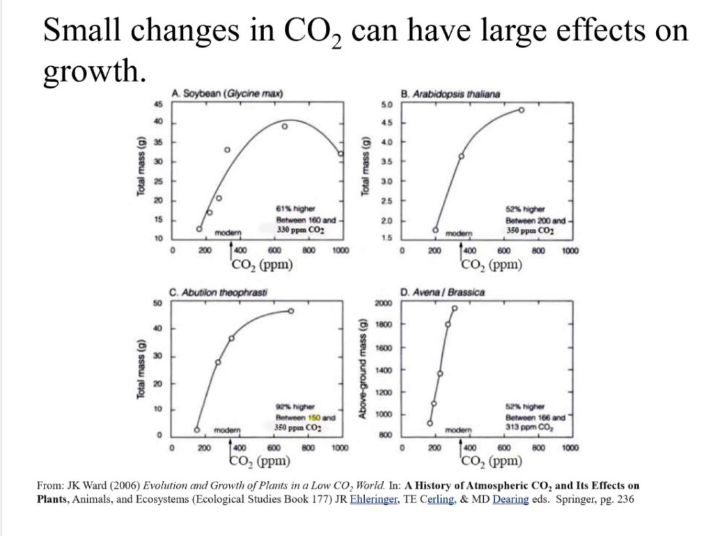 Effect of change in CO2 levels graph