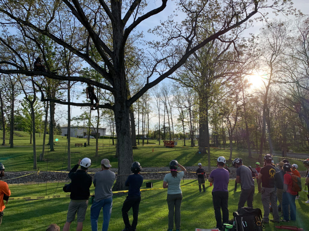 Tree Preservation Climbers